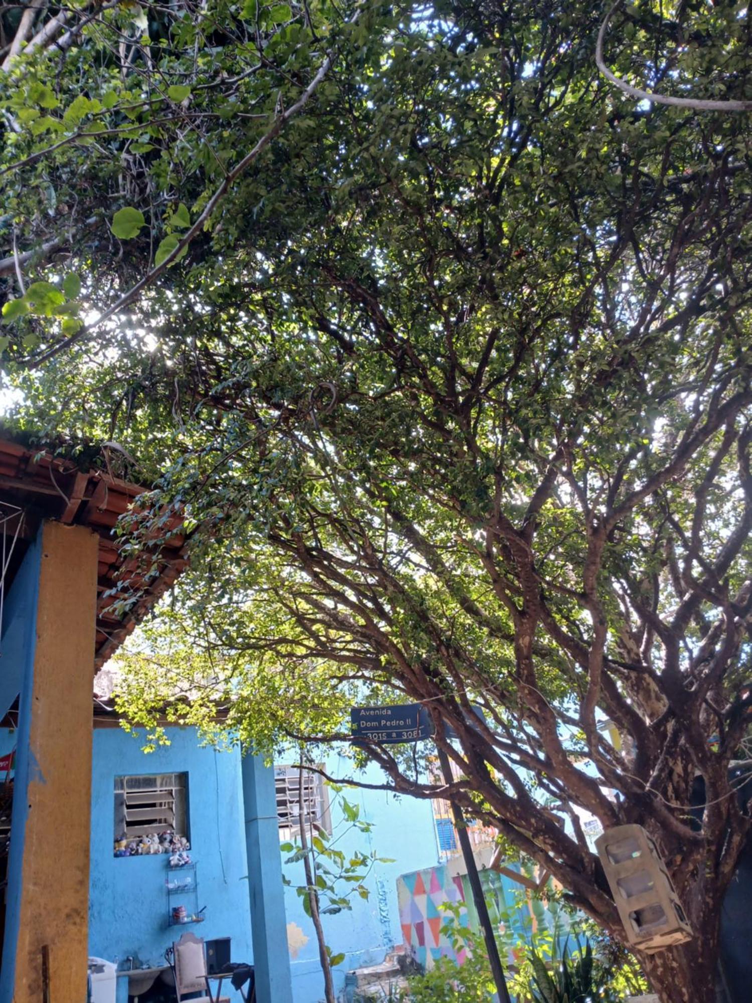 Hostel Jabuticaba Belo Horizonte Eksteriør bilde